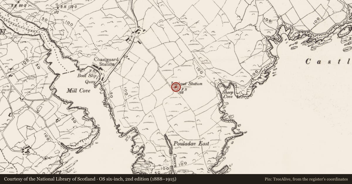 Ordnance Survey six-inch map, 2nd edition (1888–1915) covering the location of Building, Downeen, County Cork, with a pin at the register's coordinates