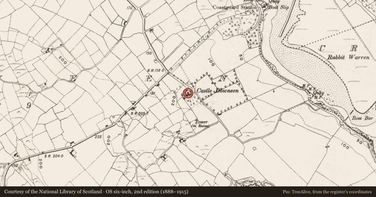 Ordnance Survey six-inch map, 2nd edition (1888–1915) covering the location of Country house, Downeen, County Cork, with a pin at the register's coordinates