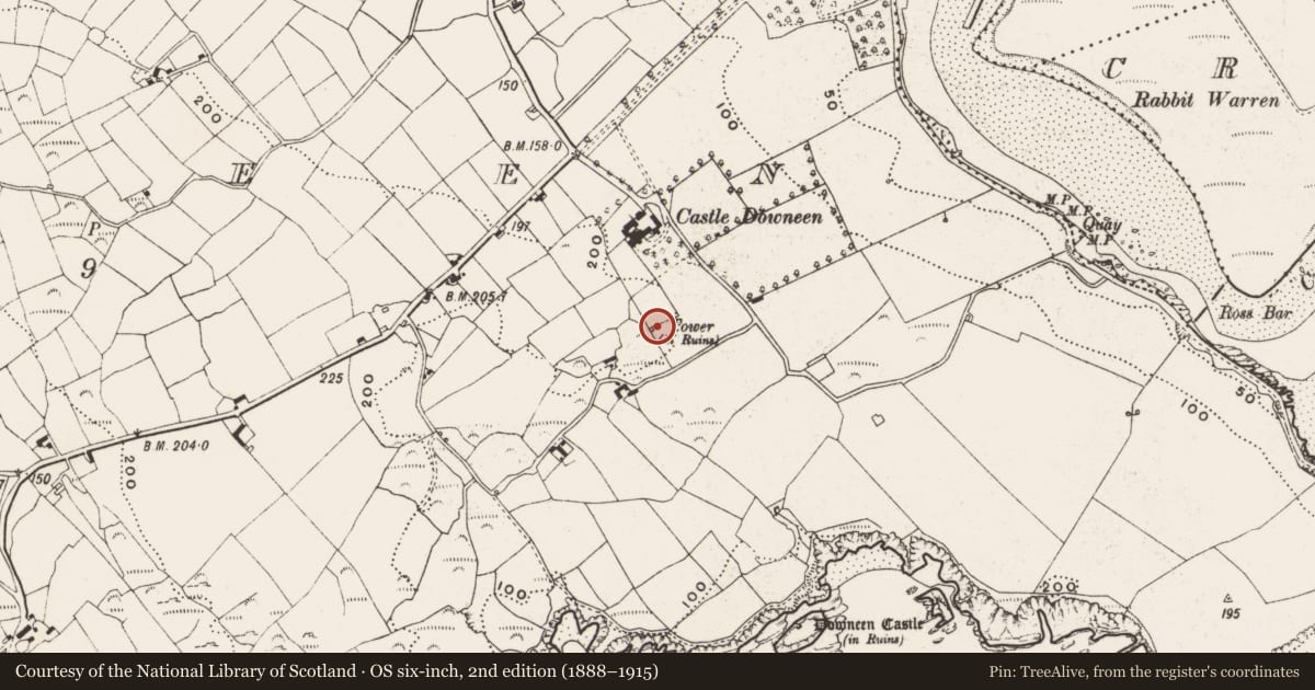Ordnance Survey six-inch map, 2nd edition (1888–1915) covering the location of Designed landscape - belvedere, Downeen, County Cork, with a pin at the register's coordinates
