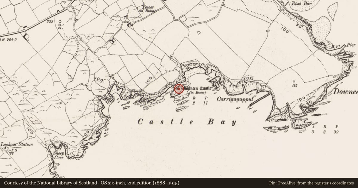 Ordnance Survey six-inch map, 2nd edition (1888–1915) covering the location of Castle - tower house, Downeen, County Cork, with a pin at the register's coordinates