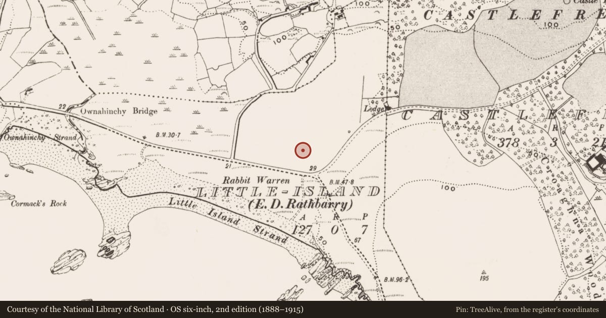 Ordnance Survey six-inch map, 2nd edition (1888–1915) covering the location of Souterrain, Little Island (Ibane and Barryroe By., Rathbarry Par.), County Cork, with a pin at the register's coordinates