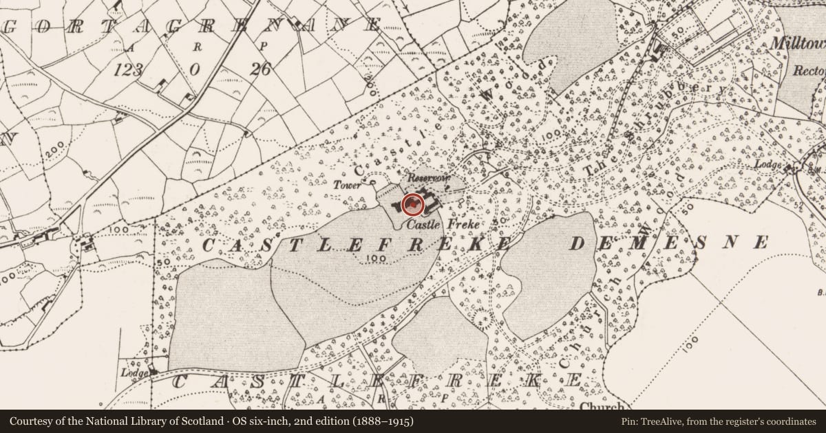 Ordnance Survey six-inch map, 2nd edition (1888–1915) covering the location of Souterrain, Castlefreke, County Cork, with a pin at the register's coordinates