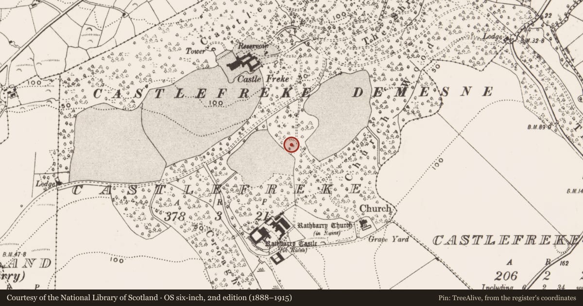 Ordnance Survey six-inch map, 2nd edition (1888–1915) covering the location of Enclosure, Castlefreke, County Cork, with a pin at the register's coordinates