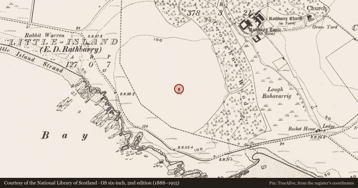 Ordnance Survey six-inch map, 2nd edition (1888–1915) covering the location of Cross, Castlefreke, County Cork, with a pin at the register's coordinates