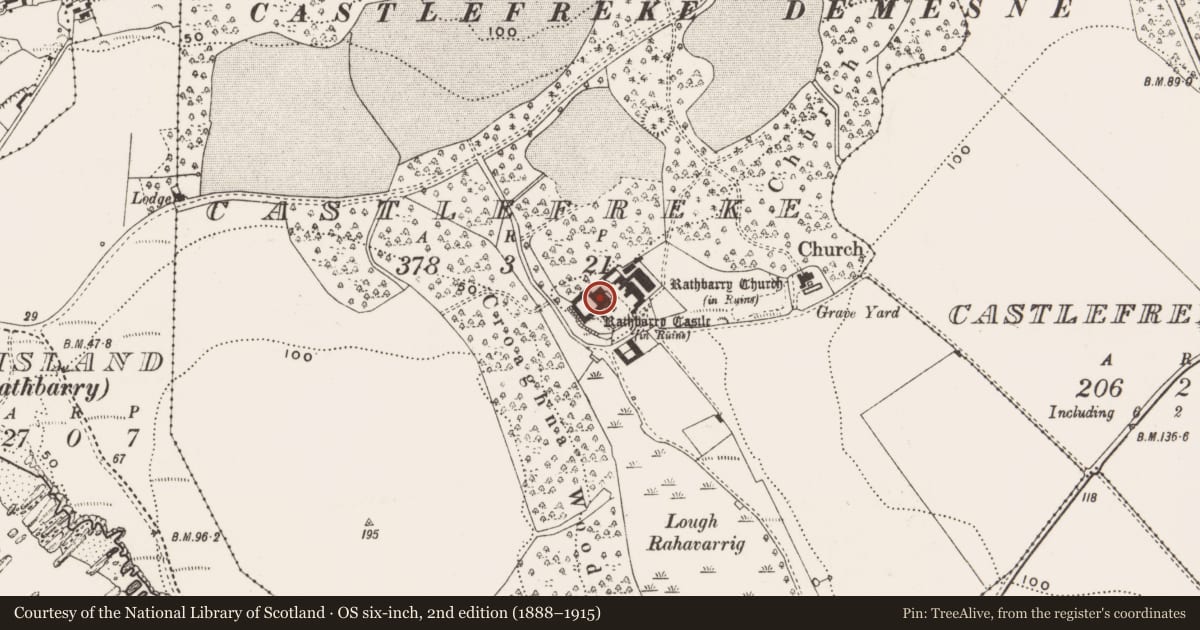 Ordnance Survey six-inch map, 2nd edition (1888–1915) covering the location of Castle - tower house, Castlefreke, County Cork, with a pin at the register's coordinates