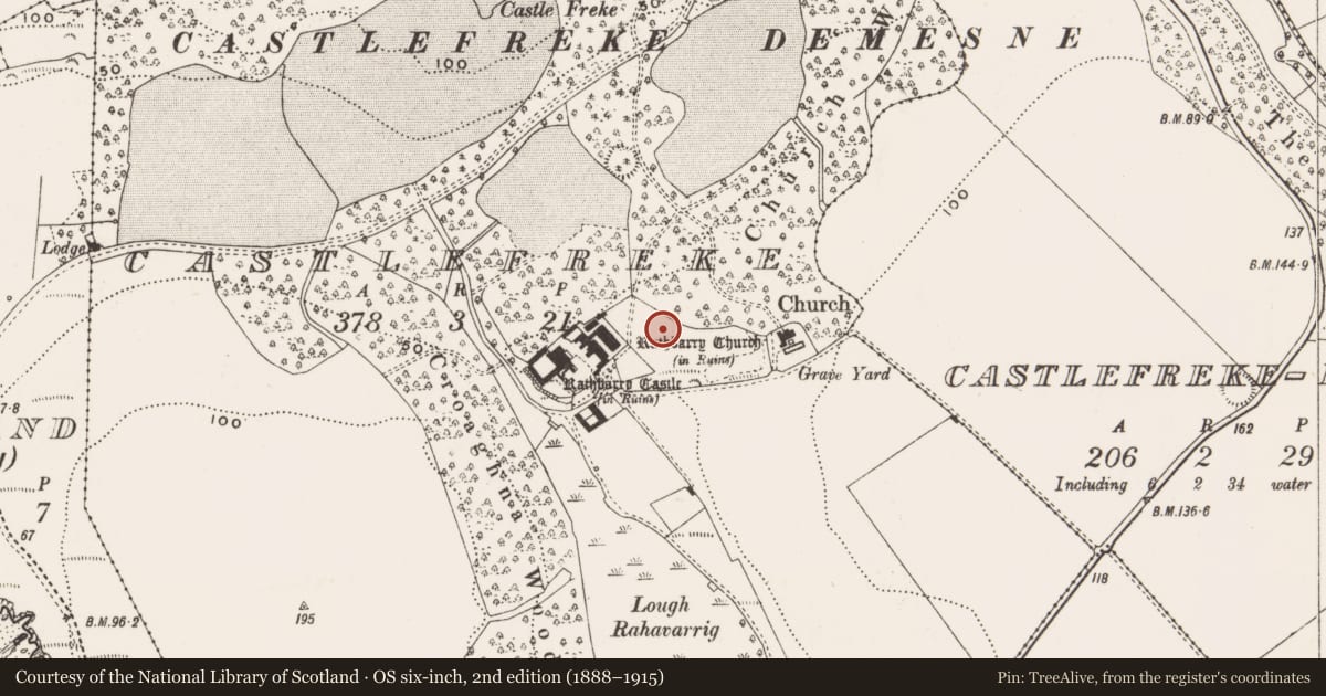 Ordnance Survey six-inch map, 2nd edition (1888–1915) covering the location of Barrow - ring-barrow, Castlefreke, County Cork, with a pin at the register's coordinates