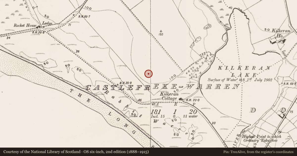 Ordnance Survey six-inch map, 2nd edition (1888–1915) covering the location of Ringfort - rath, Castlefreke-Warren, County Cork, with a pin at the register's coordinates