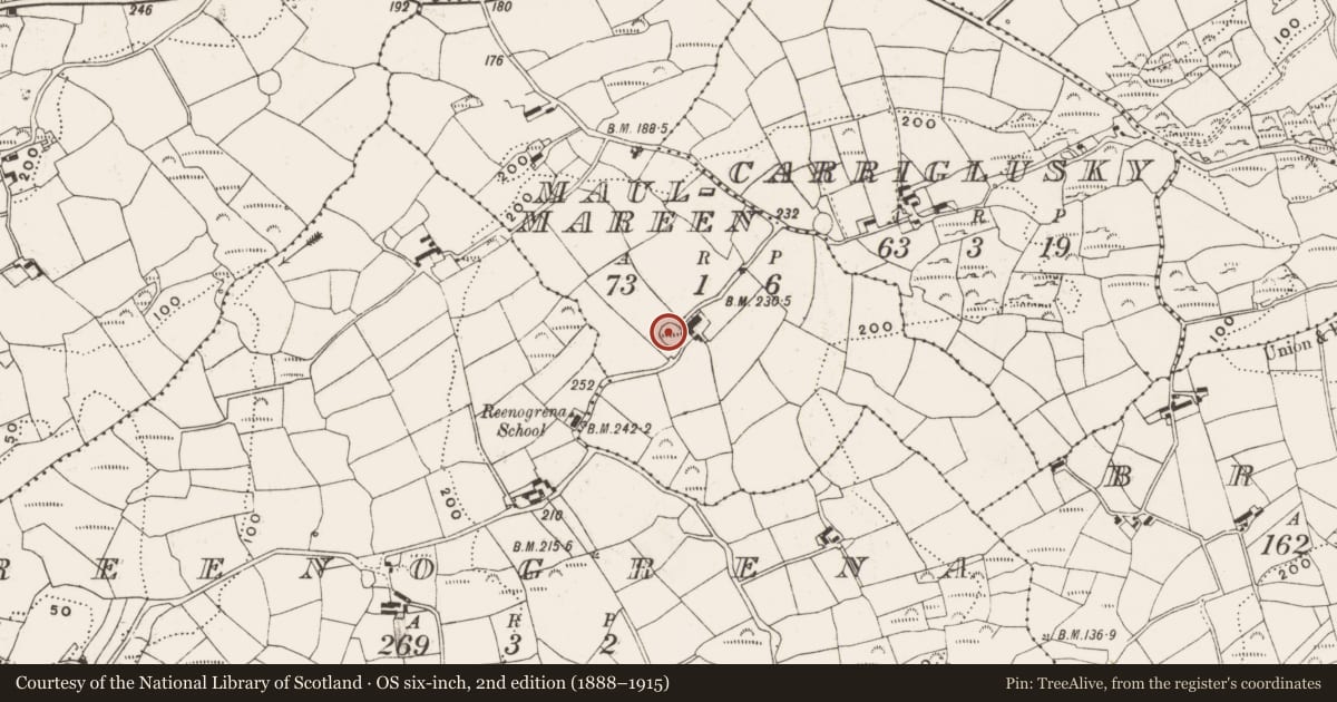 Ordnance Survey six-inch map, 2nd edition (1888–1915) covering the location of Ringfort - rath, Maulmareen, County Cork, with a pin at the register's coordinates