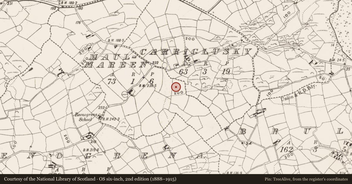 Ordnance Survey six-inch map, 2nd edition (1888–1915) covering the location of Burial ground, Maulmareen, County Cork, with a pin at the register's coordinates
