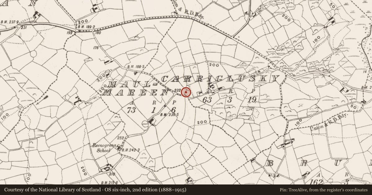 Ordnance Survey six-inch map, 2nd edition (1888–1915) covering the location of Ringfort - rath, Carriglusky, County Cork, with a pin at the register's coordinates