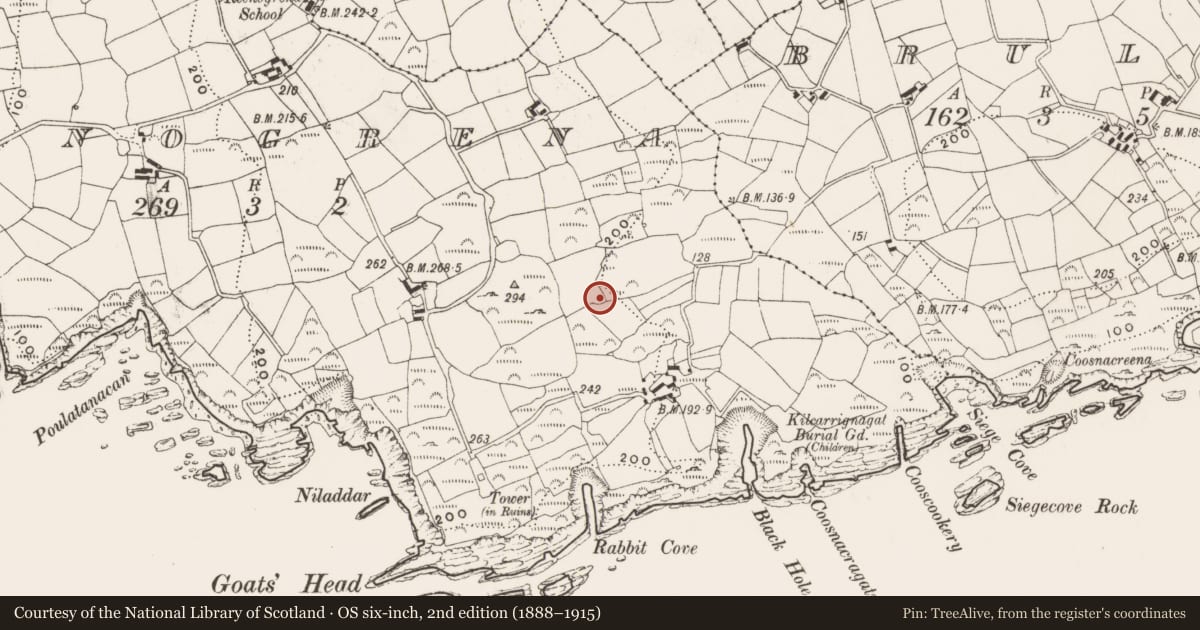 Ordnance Survey six-inch map, 2nd edition (1888–1915) covering the location of Ringfort - rath, Reenogrena, County Cork, with a pin at the register's coordinates