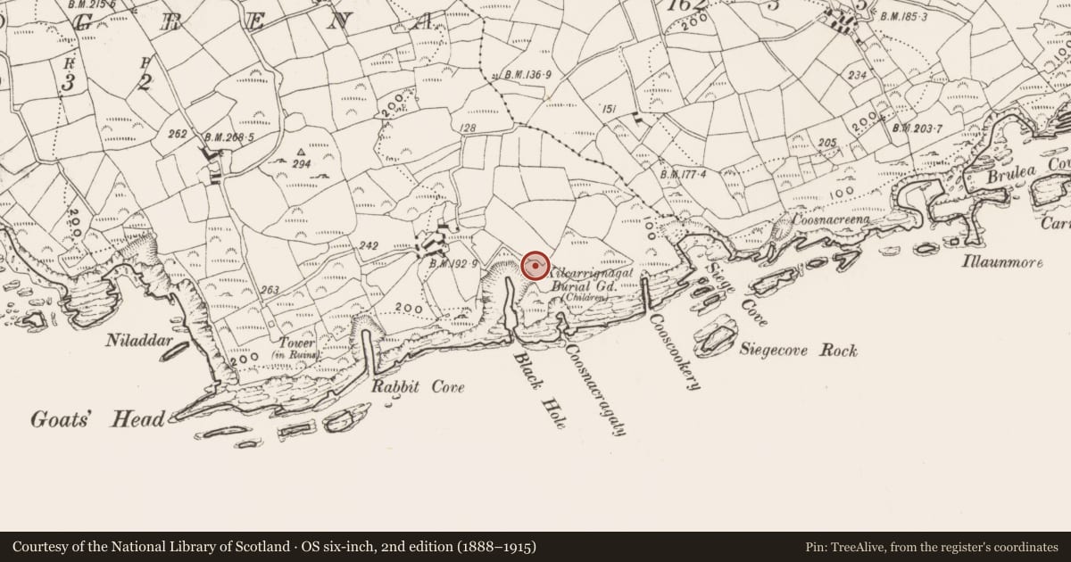 Ordnance Survey six-inch map, 2nd edition (1888–1915) covering the location of Burial ground, Reenogrena, County Cork, with a pin at the register's coordinates