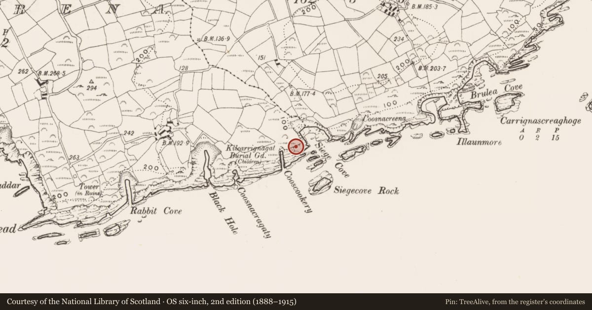 Ordnance Survey six-inch map, 2nd edition (1888–1915) covering the location of Promontory fort - coastal, Reenogrena, County Cork, with a pin at the register's coordinates
