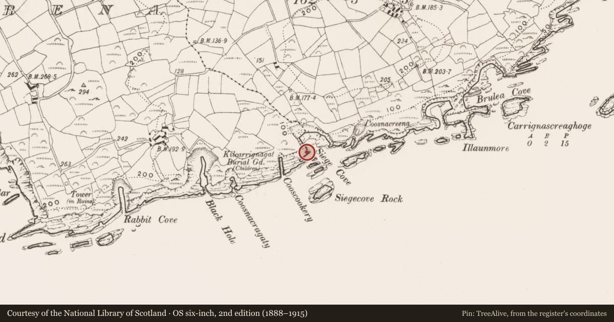 Ordnance Survey six-inch map, 2nd edition (1888–1915) covering the location of Hut site, Reenogrena, County Cork, with a pin at the register's coordinates