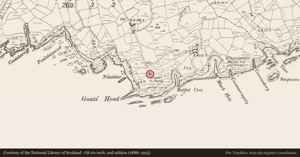 Ordnance Survey six-inch map, 2nd edition (1888–1915) covering the location of Signal tower, Reenogrena, County Cork, with a pin at the register's coordinates
