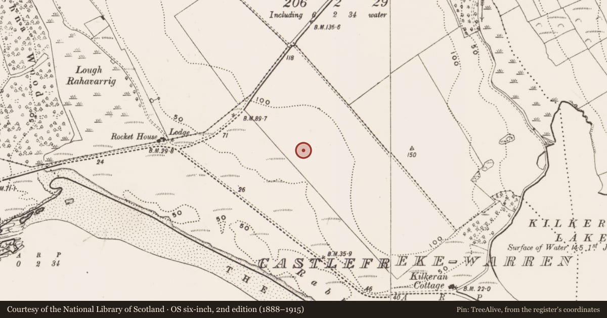 Ordnance Survey six-inch map, 2nd edition (1888–1915) covering the location of Fulacht fia, Castlefreke-Warren, County Cork, with a pin at the register's coordinates