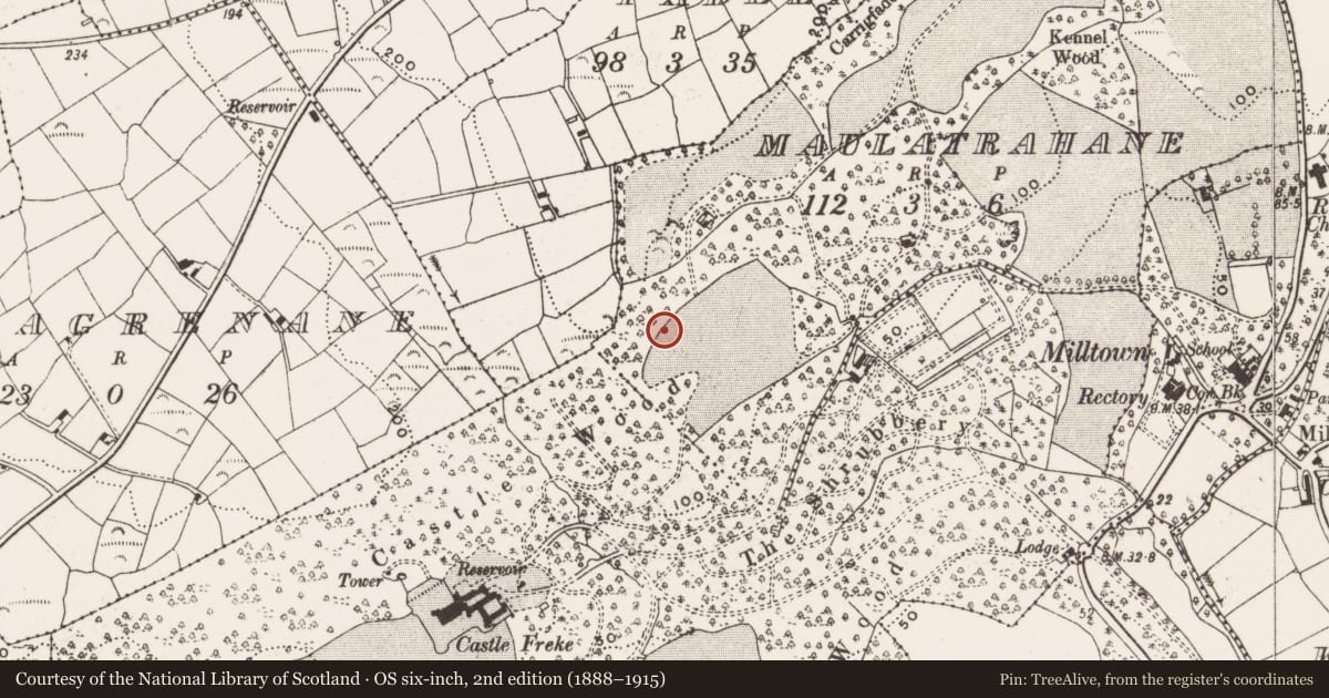 Ordnance Survey six-inch map, 2nd edition (1888–1915) covering the location of Bullaun stone, Maulatrahane, County Cork, with a pin at the register's coordinates