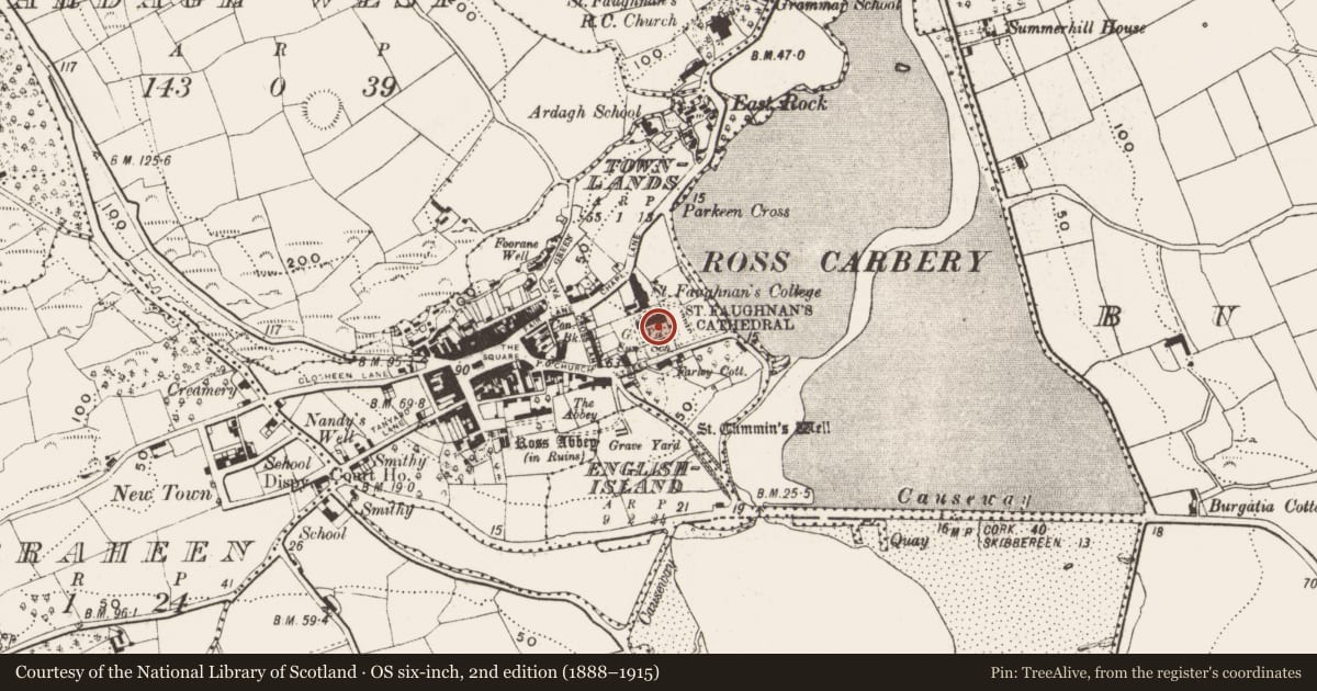Ordnance Survey six-inch map, 2nd edition (1888–1915) covering the location of Font, Town Lands, County Cork, with a pin at the register's coordinates