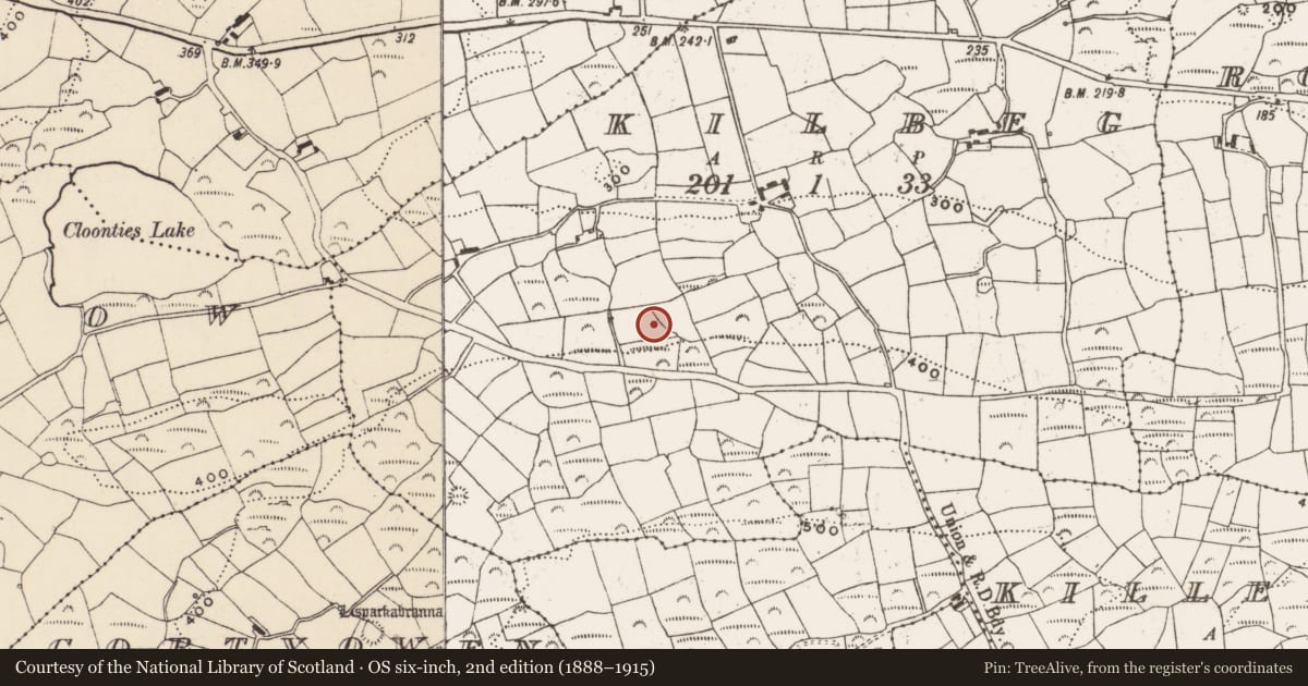 Ordnance Survey six-inch map, 2nd edition (1888–1915) covering the location of Cupmarked stone, Kilbeg, County Cork, with a pin at the register's coordinates