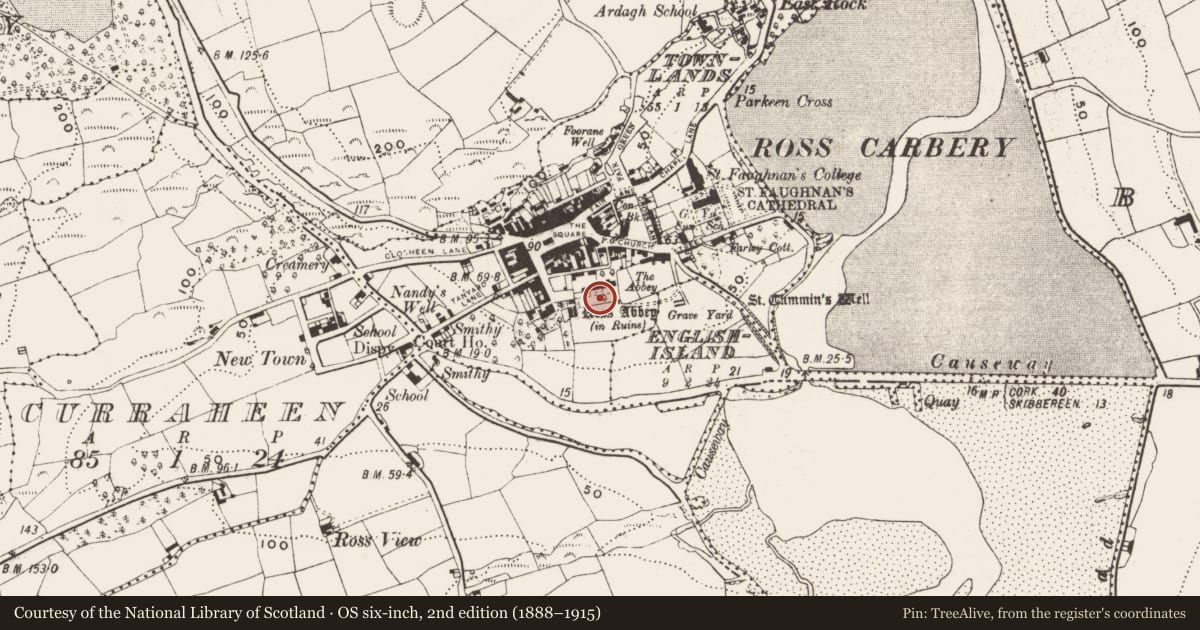 Ordnance Survey six-inch map, 2nd edition (1888–1915) covering the location of Bastioned fort, Town Lands, County Cork, with a pin at the register's coordinates