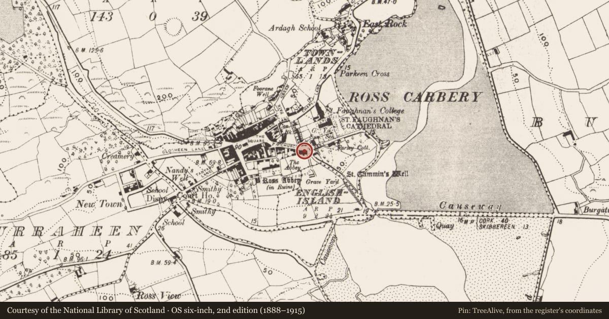 Ordnance Survey six-inch map, 2nd edition (1888–1915) covering the location of Historic town, Town Lands, County Cork, with a pin at the register's coordinates