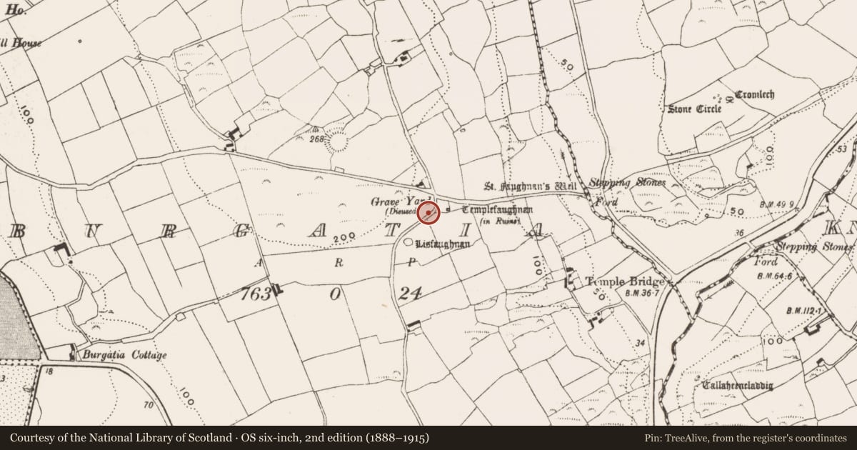 Ordnance Survey six-inch map, 2nd edition (1888–1915) covering the location of Ogham stone, Burgatia, County Cork, with a pin at the register's coordinates