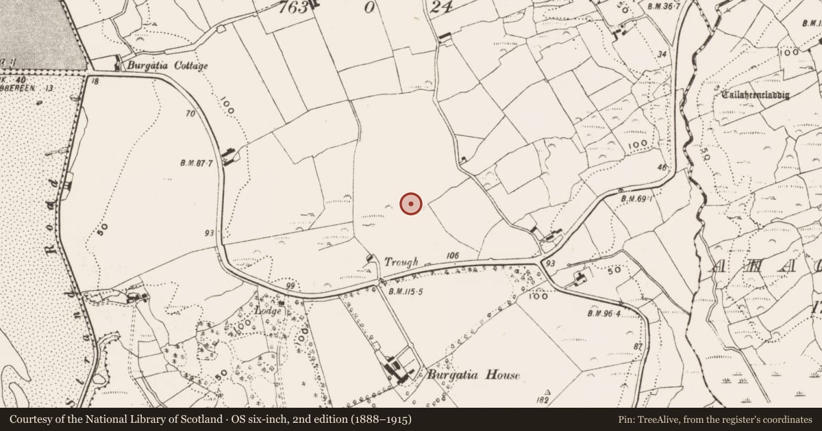 Ordnance Survey six-inch map, 2nd edition (1888–1915) covering the location of Burnt mound, Burgatia, County Cork, with a pin at the register's coordinates
