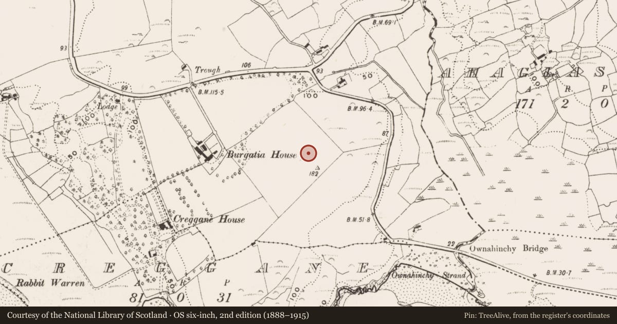 Ordnance Survey six-inch map, 2nd edition (1888–1915) covering the location of Ringfort - rath, Burgatia, County Cork, with a pin at the register's coordinates