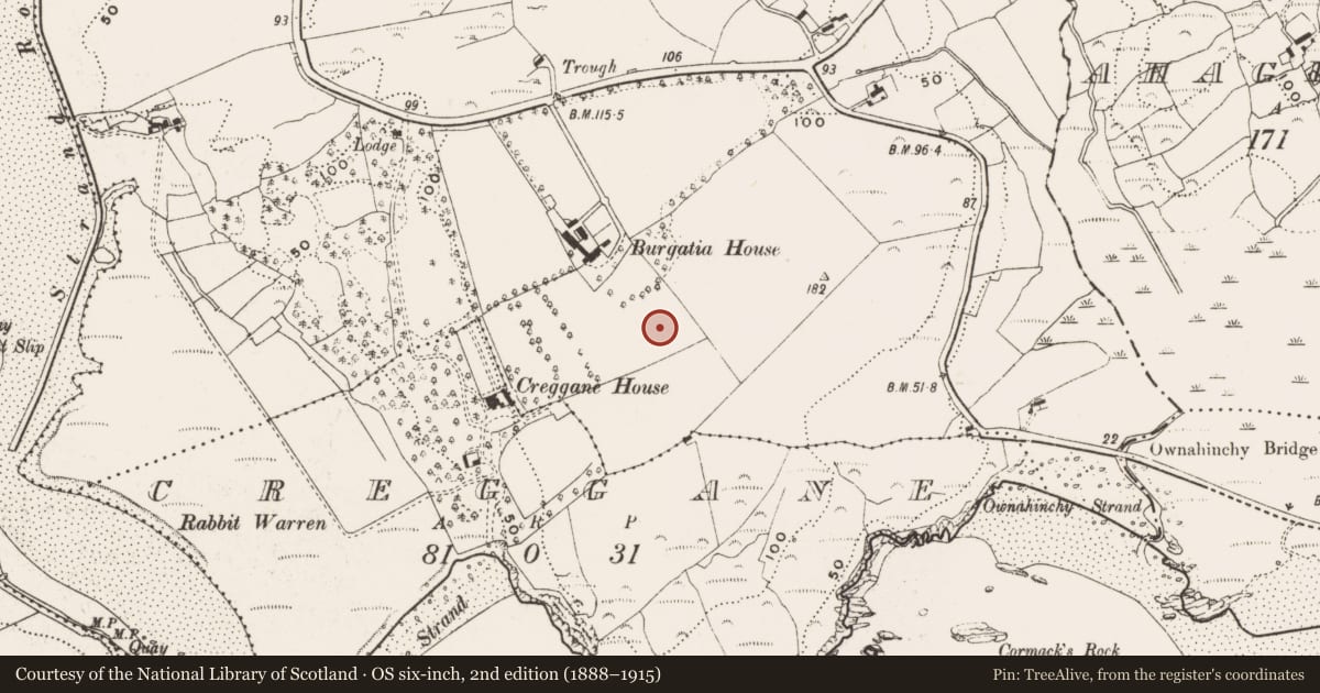 Ordnance Survey six-inch map, 2nd edition (1888–1915) covering the location of Souterrain, Burgatia, County Cork, with a pin at the register's coordinates