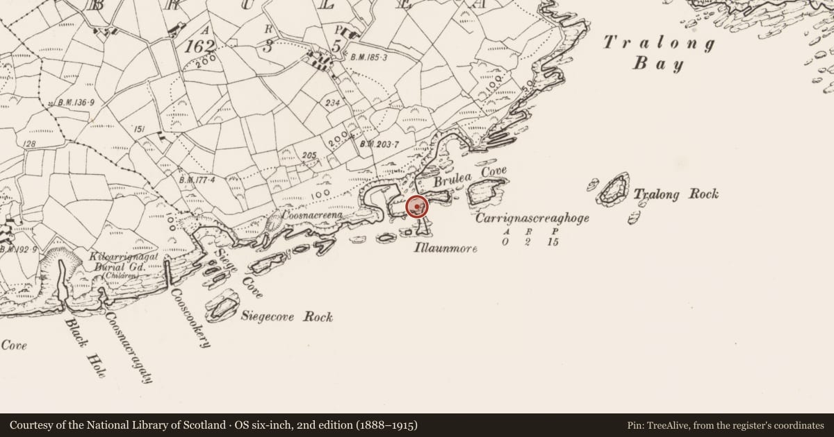 Ordnance Survey six-inch map, 2nd edition (1888–1915) covering the location of Promontory fort - coastal, Illaunmore, County Cork, with a pin at the register's coordinates