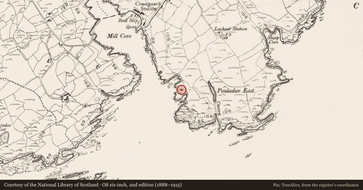Ordnance Survey six-inch map, 2nd edition (1888–1915) covering the location of Hut site, Downeen, County Cork, with a pin at the register's coordinates