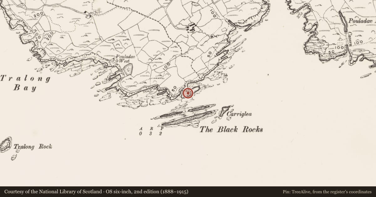 Ordnance Survey six-inch map, 2nd edition (1888–1915) covering the location of Promontory fort - coastal, Tralong, County Cork, with a pin at the register's coordinates
