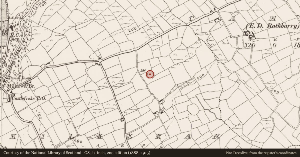 Ordnance Survey six-inch map, 2nd edition (1888–1915) covering the location of Ringfort - rath, Kilkeran, County Cork, with a pin at the register's coordinates
