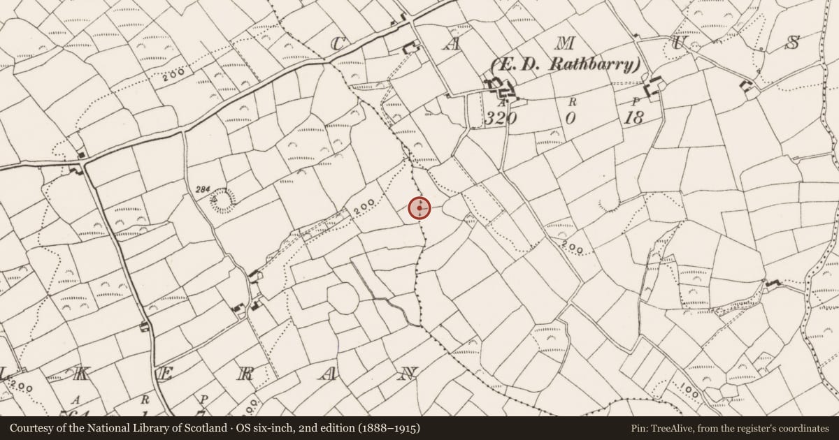 Ordnance Survey six-inch map, 2nd edition (1888–1915) covering the location of Fulacht fia, Camus (Ibane and Barryroe By., Rathbarry Par.), County Cork, with a pin at the register's coordinates