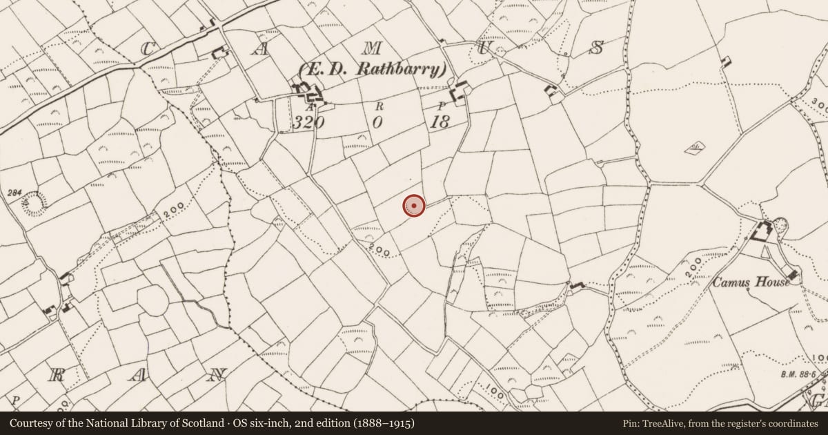 Ordnance Survey six-inch map, 2nd edition (1888–1915) covering the location of Ringfort - rath, Camus (Ibane and Barryroe By., Rathbarry Par.), County Cork, with a pin at the register's coordinates