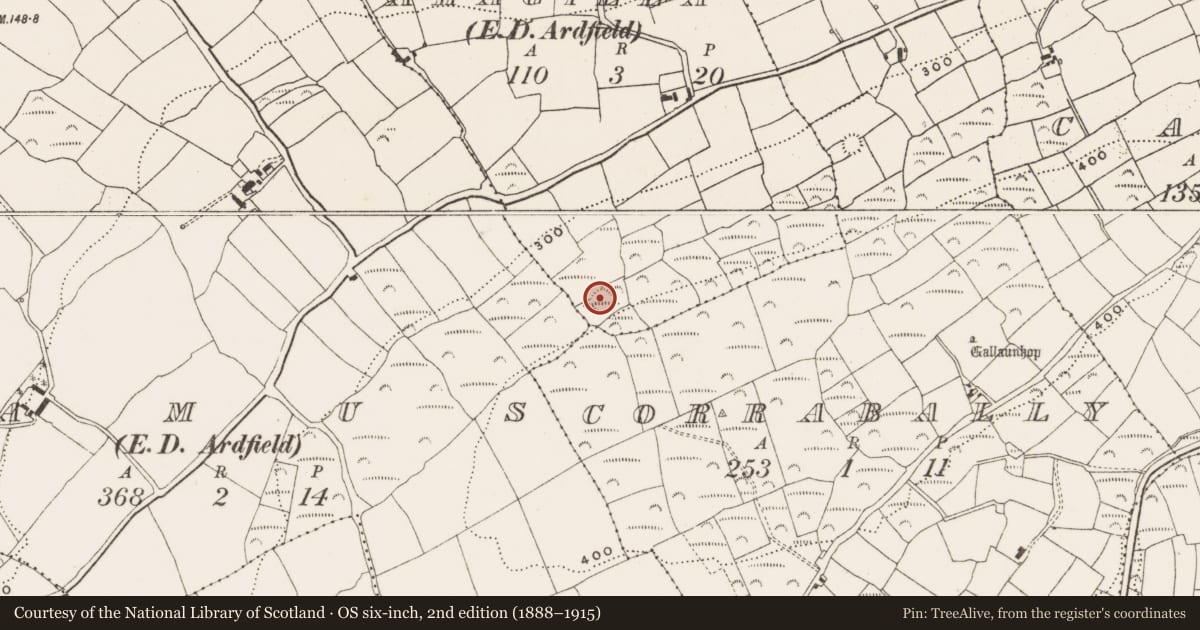 Ordnance Survey six-inch map, 2nd edition (1888–1915) covering the location of Ringfort - rath, Ahagilla (Ibane and Barryroe By., Ardfield Par.), County Cork, with a pin at the register's coordinates