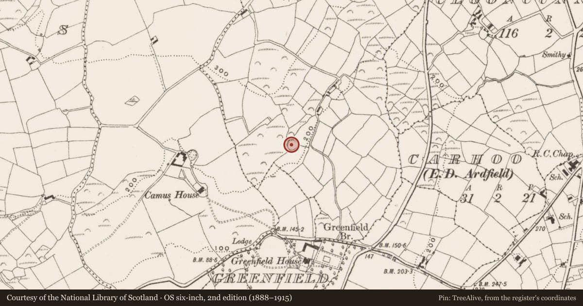 Ordnance Survey six-inch map, 2nd edition (1888–1915) covering the location of Ringfort - rath, Corrabally (Ibane and Barryroe By., Kilkerranmore Par.), County Cork, with a pin at the register's coordinates