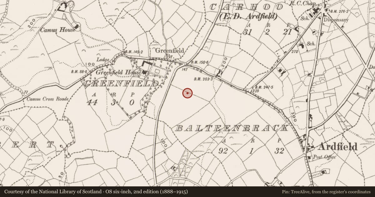 Ordnance Survey six-inch map, 2nd edition (1888–1915) covering the location of Standing stone, Balteenbrack (Ibane and Barryroe By., Ardfield Par.), County Cork, with a pin at the register's coordinates