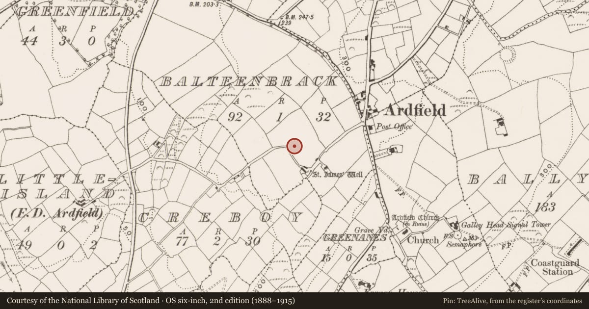 Ordnance Survey six-inch map, 2nd edition (1888–1915) covering the location of Ringfort - rath, Balteenbrack (Ibane and Barryroe By., Island Par.), County Cork, with a pin at the register's coordinates