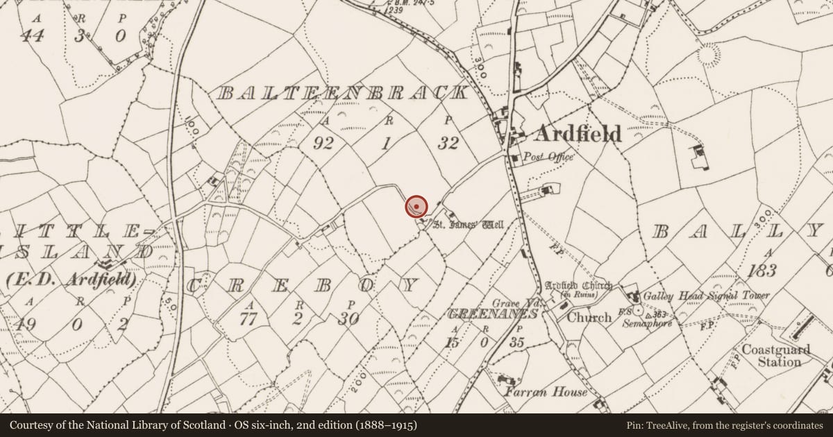 Ordnance Survey six-inch map, 2nd edition (1888–1915) covering the location of Ringfort - rath, Balteenbrack (Ibane and Barryroe By., Island Par.), County Cork, with a pin at the register's coordinates