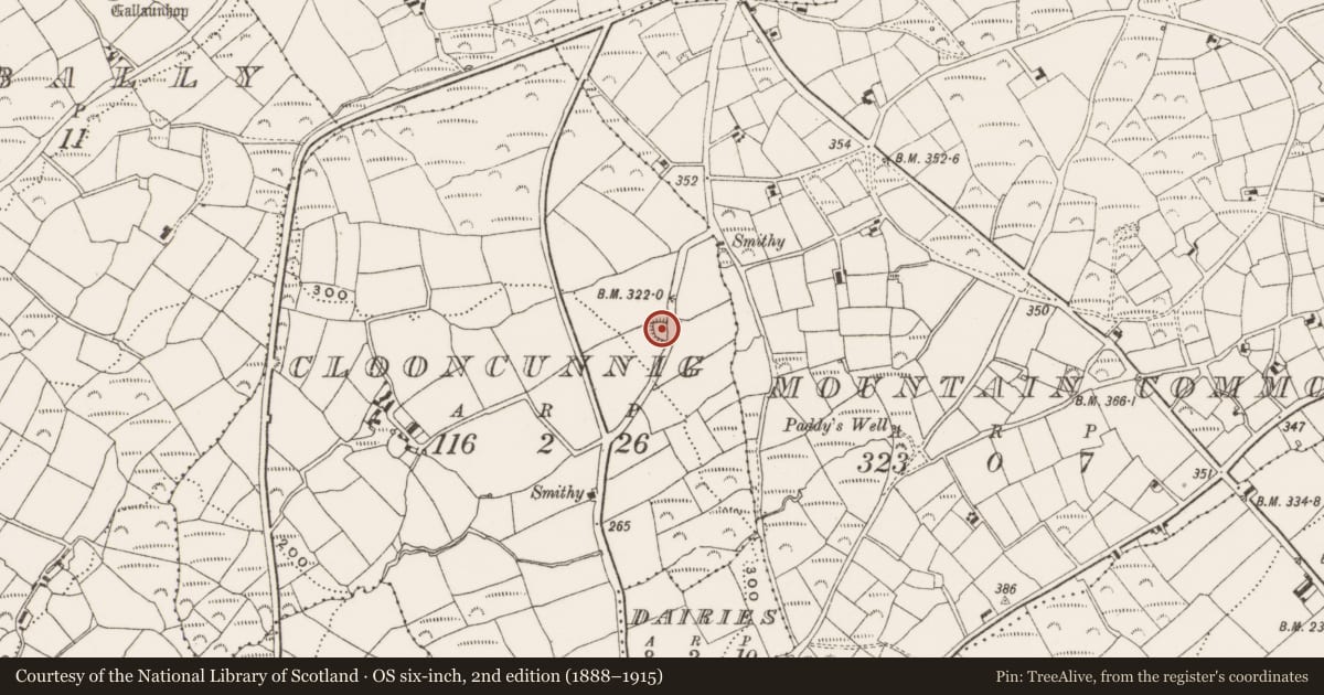 Ordnance Survey six-inch map, 2nd edition (1888–1915) covering the location of Ringfort - rath, Clooncunnig, County Cork, with a pin at the register's coordinates