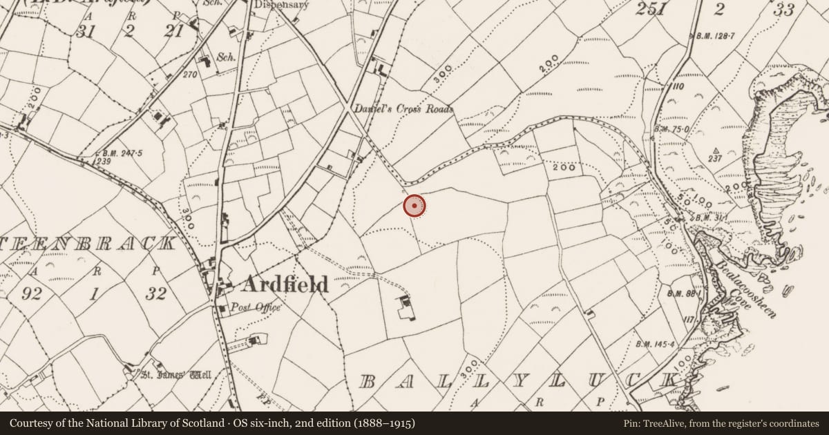 Ordnance Survey six-inch map, 2nd edition (1888–1915) covering the location of Ringfort - rath, Ballyluck, County Cork, with a pin at the register's coordinates