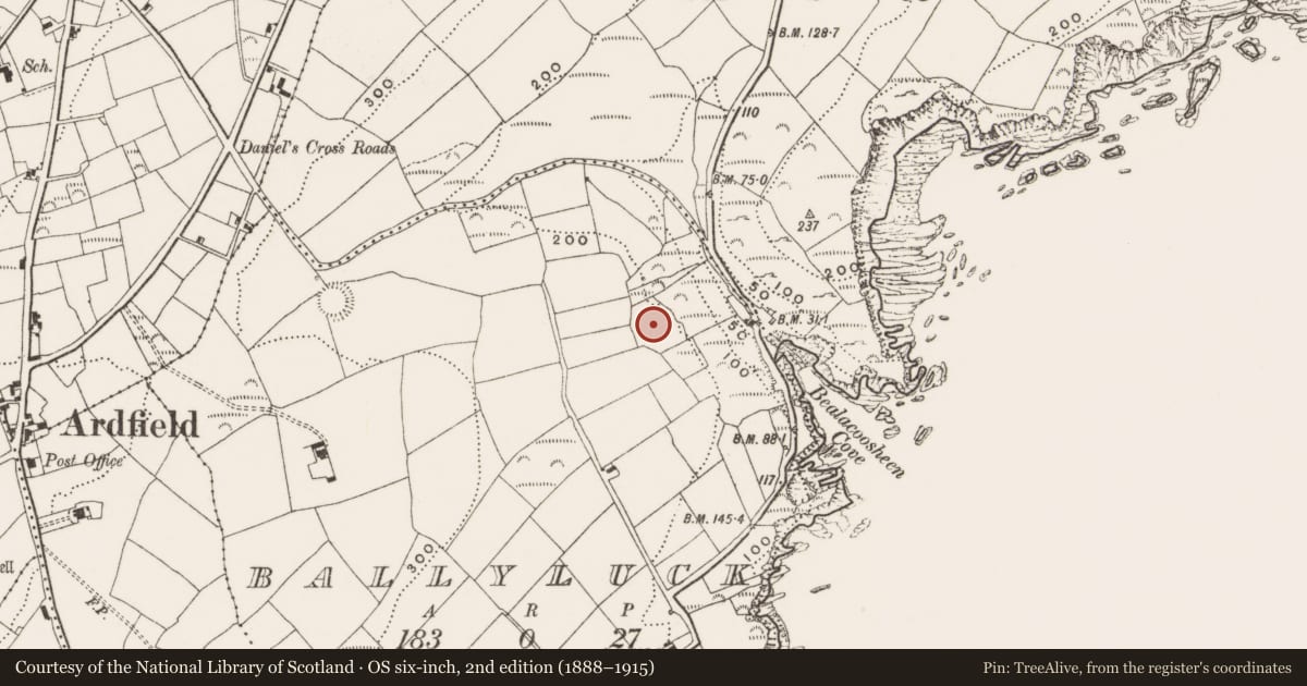 Ordnance Survey six-inch map, 2nd edition (1888–1915) covering the location of Ringfort - rath, Ballyluck, County Cork, with a pin at the register's coordinates