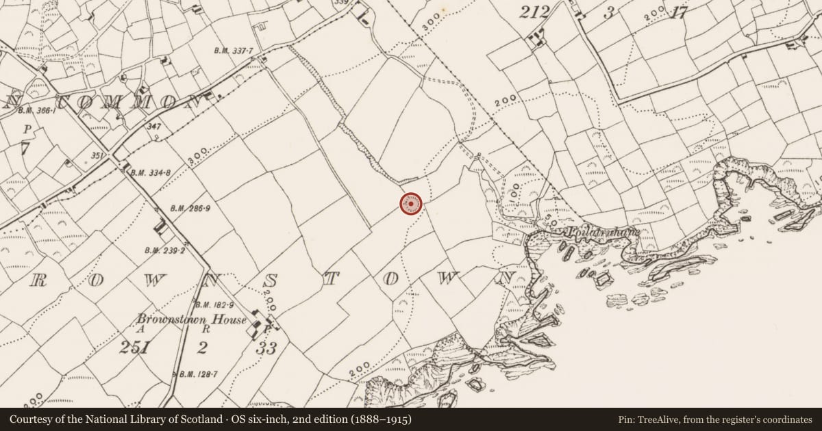 Ordnance Survey six-inch map, 2nd edition (1888–1915) covering the location of Ringfort - rath, Brownstown, County Cork, with a pin at the register's coordinates