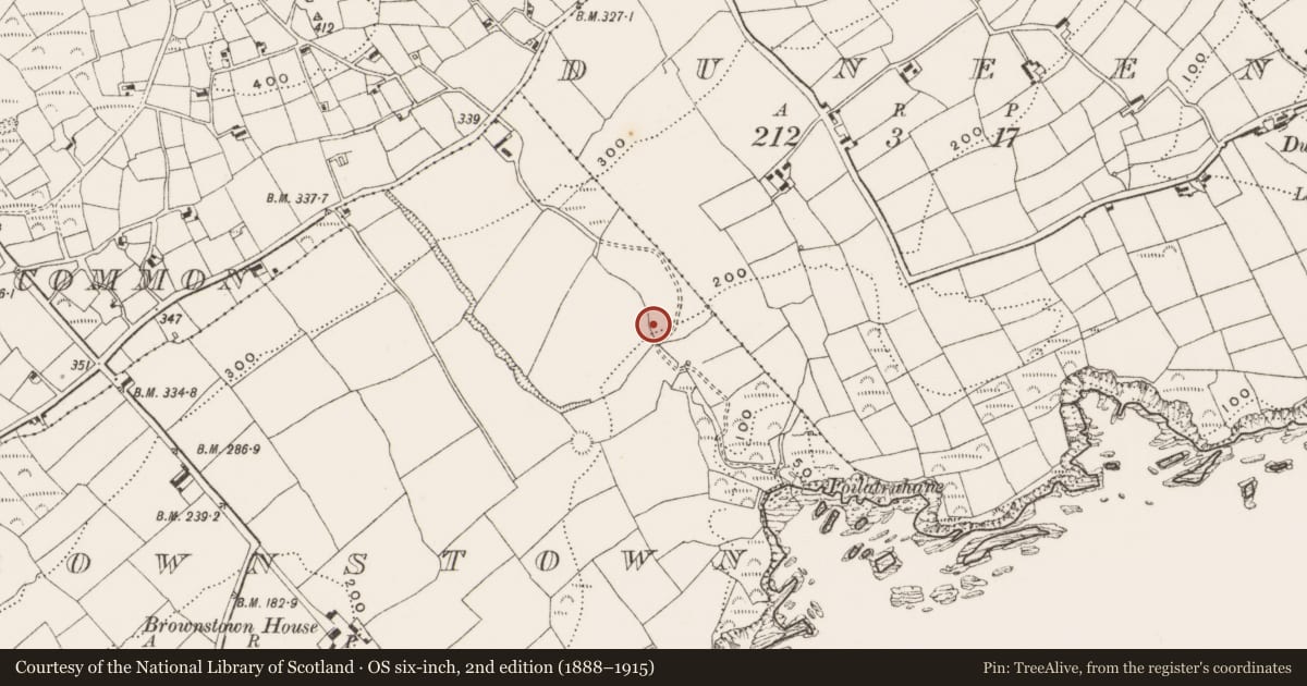 Ordnance Survey six-inch map, 2nd edition (1888–1915) covering the location of Fulacht fia, Brownstown, County Cork, with a pin at the register's coordinates