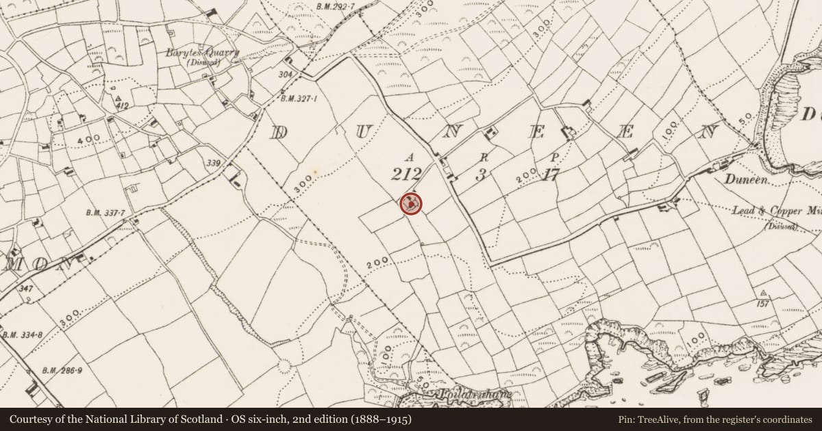 Ordnance Survey six-inch map, 2nd edition (1888–1915) covering the location of Castle - unclassified, Duneen, County Cork, with a pin at the register's coordinates