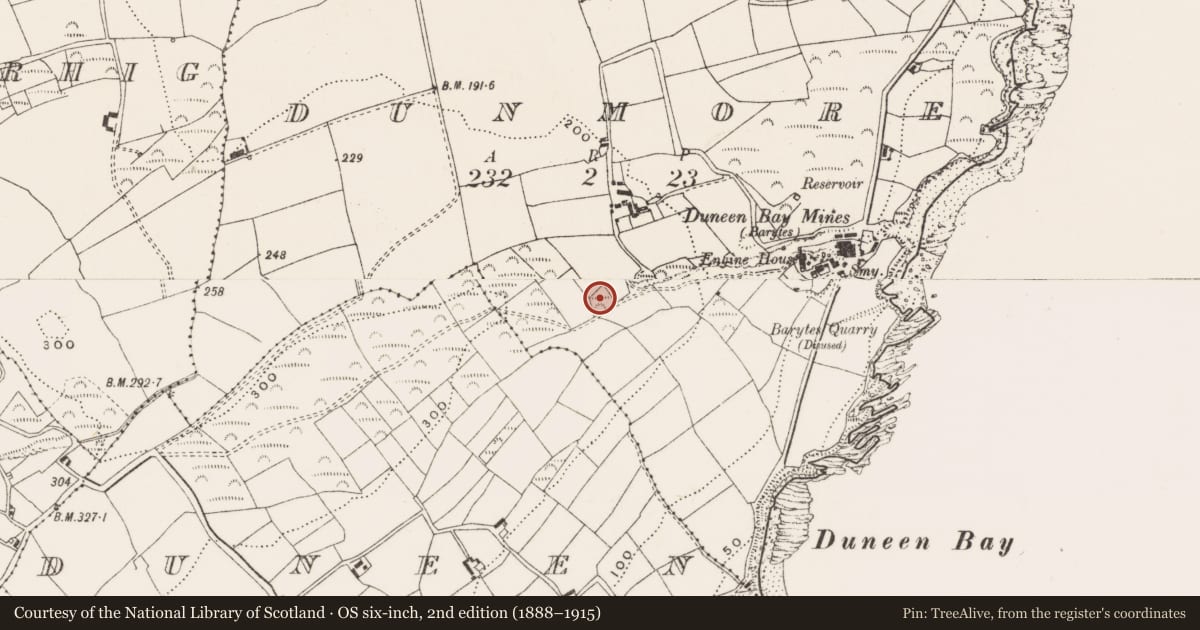 Ordnance Survey six-inch map, 2nd edition (1888–1915) covering the location of Ringfort - rath, Dunmore, County Cork, with a pin at the register's coordinates