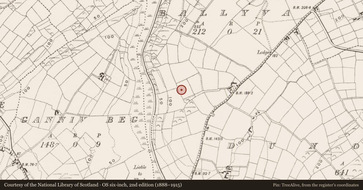 Ordnance Survey six-inch map, 2nd edition (1888–1915) covering the location of Burial ground, Ballyva, County Cork, with a pin at the register's coordinates