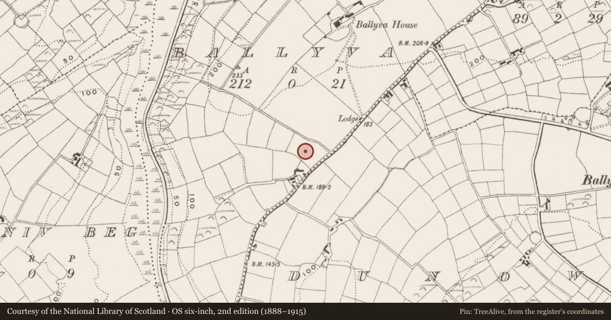 Ordnance Survey six-inch map, 2nd edition (1888–1915) covering the location of Ringfort - rath, Ballyva, County Cork, with a pin at the register's coordinates