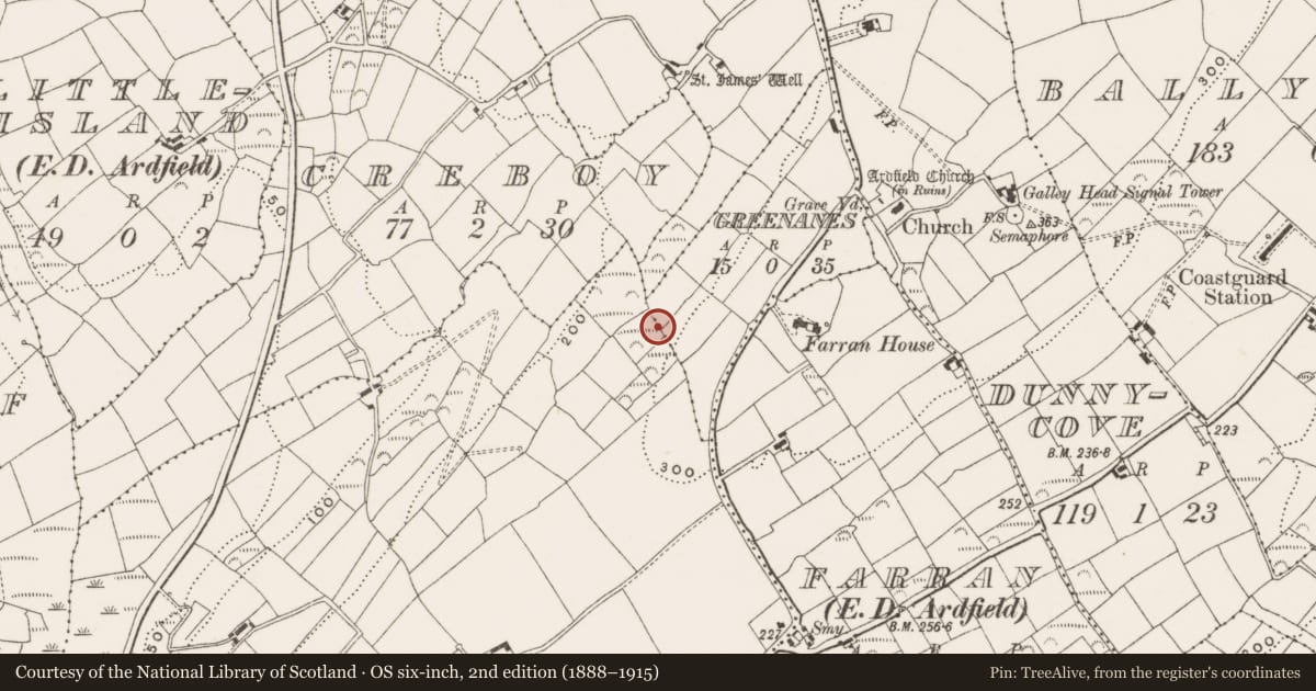 Ordnance Survey six-inch map, 2nd edition (1888–1915) covering the location of Souterrain, Greenanes, County Cork, with a pin at the register's coordinates